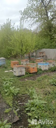 Инвентарь для пасеки