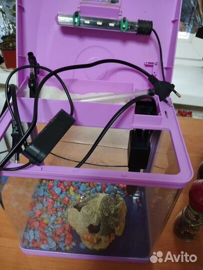 Аквариум со всеми принадлежностями