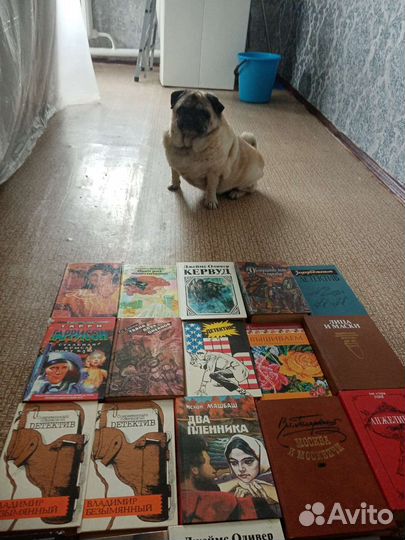 Художественная литература