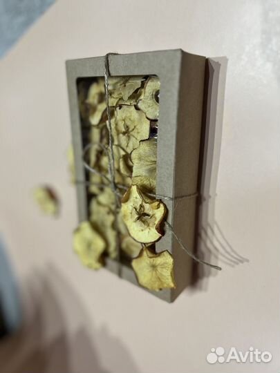 Фруктовые чипсы. Сухофрукты. Фрипсы