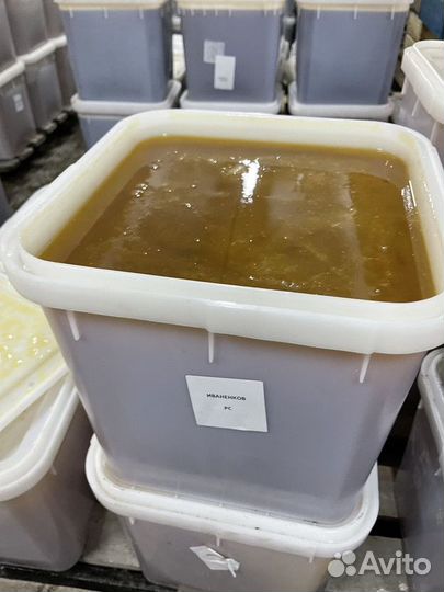 Мёд натуральный эспарцет 2023г оптом