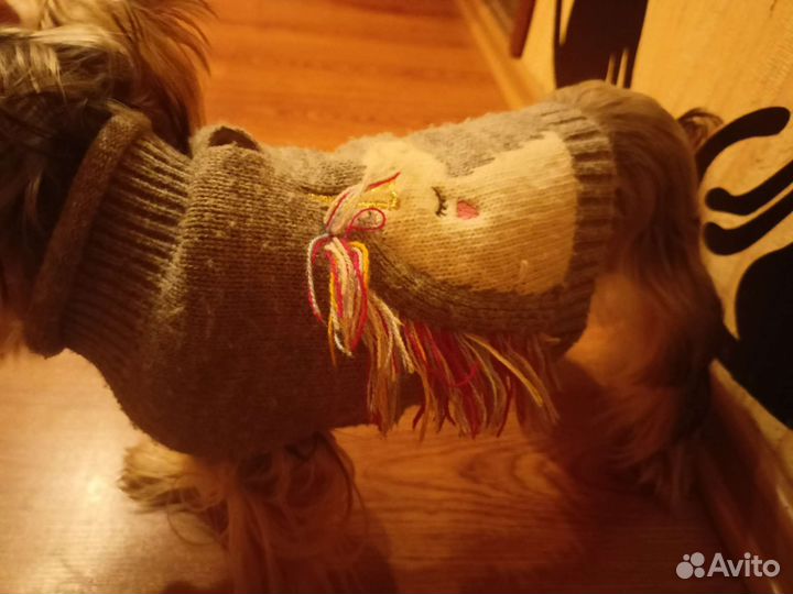 Свитер для собаки