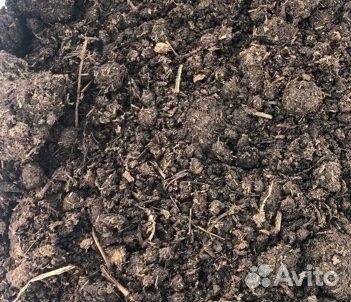 Перегной коровий, Навоз