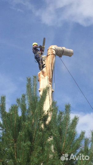 Расчистка участков спил деревьев измельчение веток