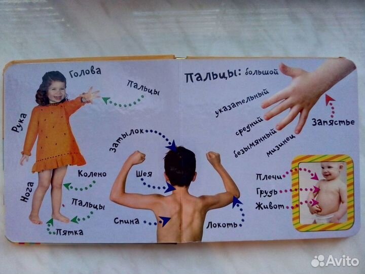 Детская обучающая книжка