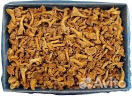 Белый гриб, лисички и опята заморженные целые