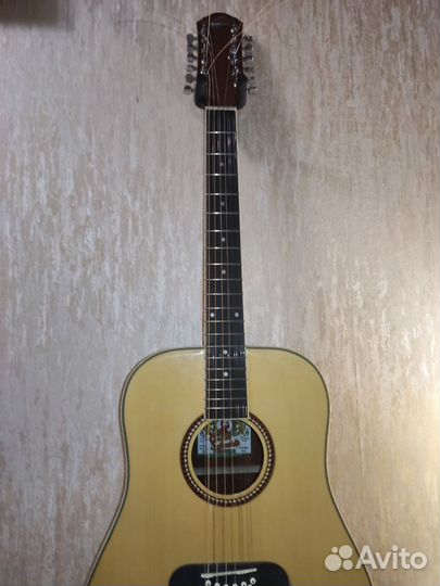 12-ти струнная гитара