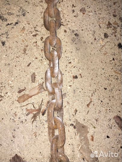 Цепной паук