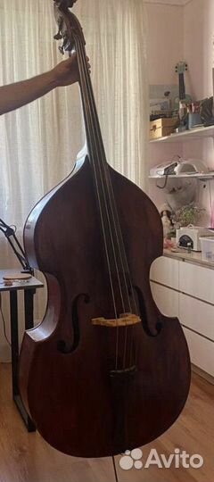 Контрабас Musima