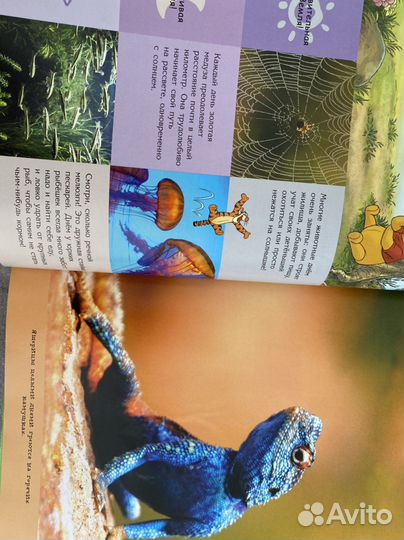 Книжка детская