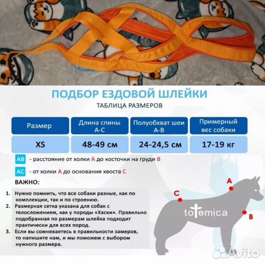 Шлейка для собаки