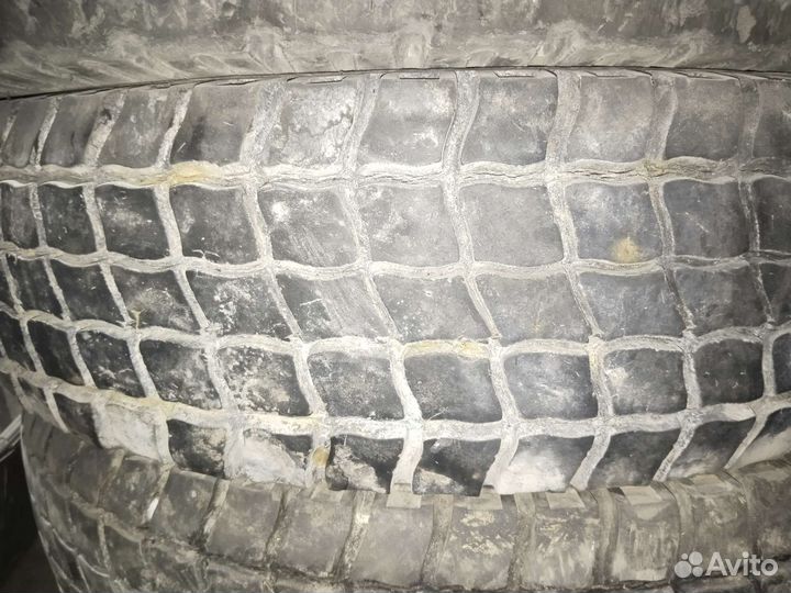 КАМА И-281 10.00/20 R20