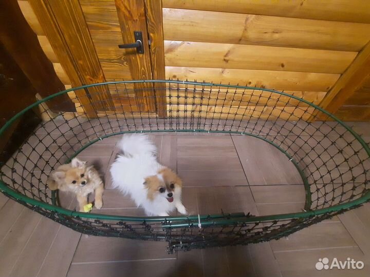 Вольер для собак домашний