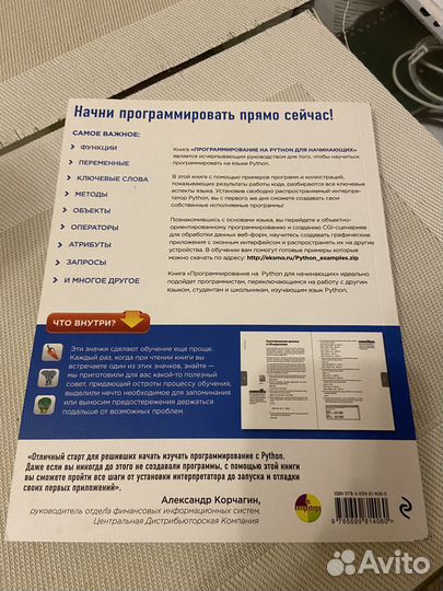 Python программирование для начинающих книга