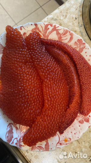 Форель охлажденная из Карелии