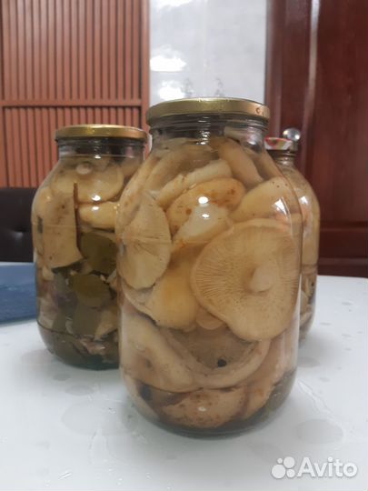 Домашние соленые грузди