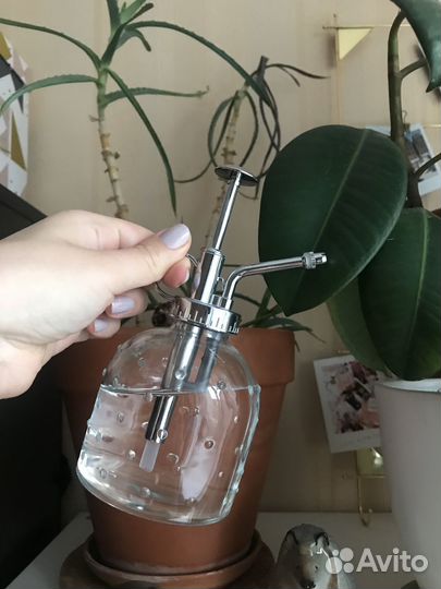 Пульверизатор для цветов IKEA на брони до 30.08