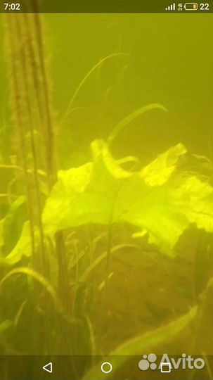 Подводная охота, туризм