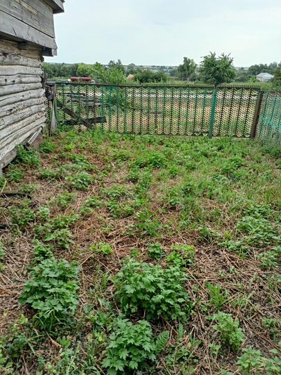 Дом 60,8 м² на участке 41 сот.