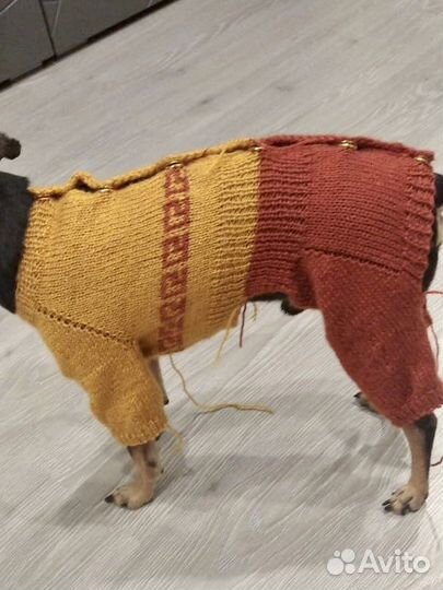 Одежда для собак