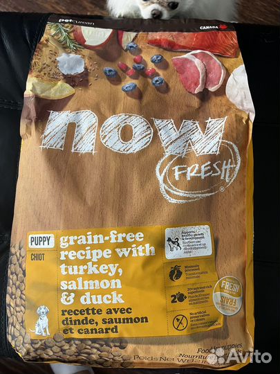 Корм NOW fresh беззерновой для щенков, 5,44 кг