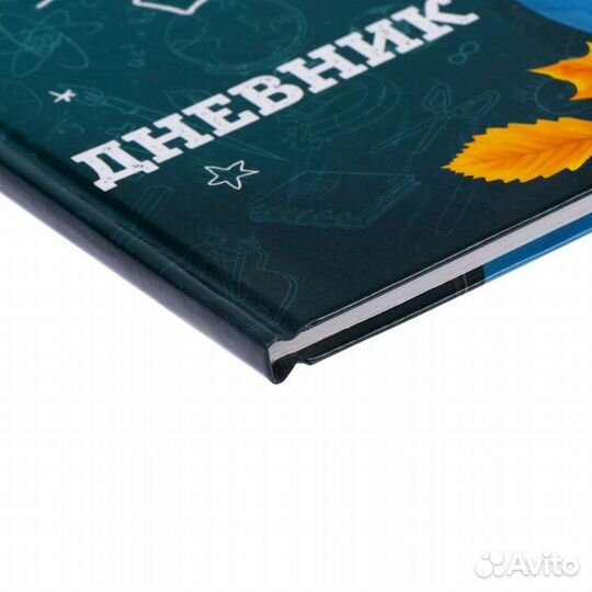 Дневник универсальный для 1-11 классов, 