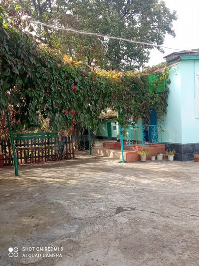 Дом 63,9 м² на участке 12 сот.