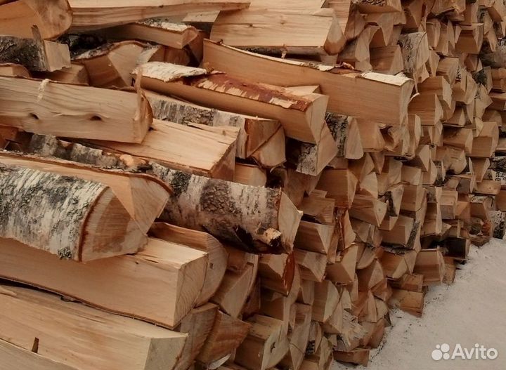 Дрова береза
