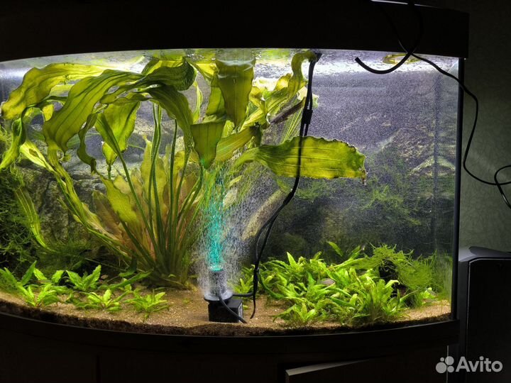 Аэратор аквариум. Hydor Ario Color 4 с подсветкой