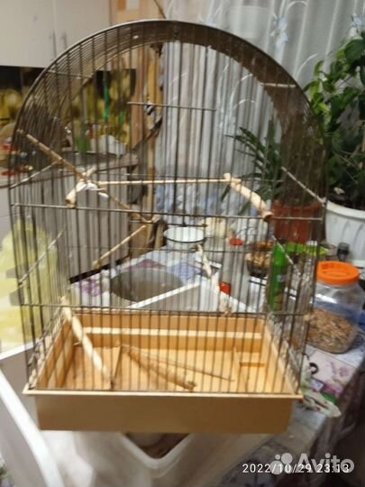 Клетка ширина 21,длинна 37,высота 51 см