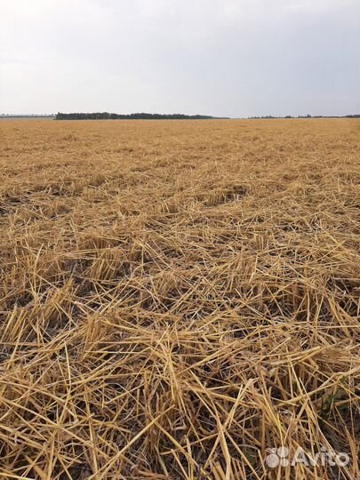 Разбрасыватель соломы Био-тилл РС-1500, 2023