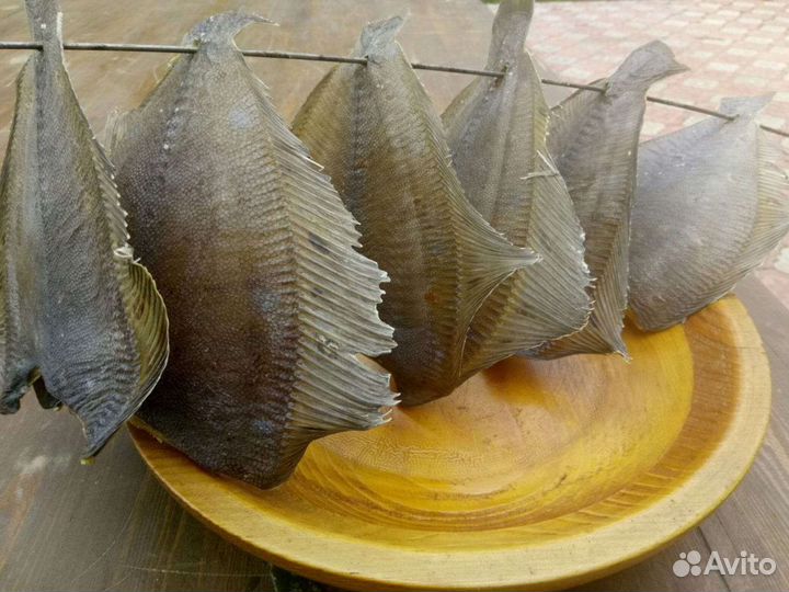 Сушилки для рыбы, мяса, колбасы