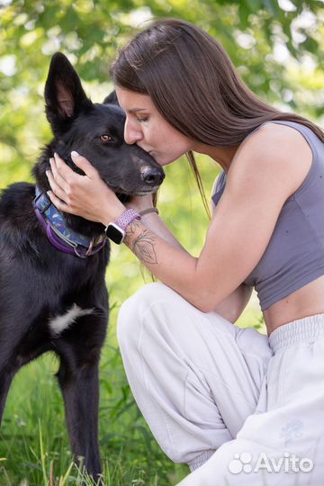 Лиза в поисках семьи В дар, бесплатно