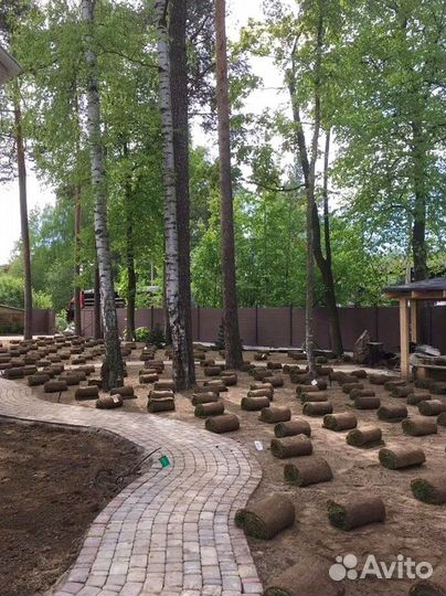 Рулонный газон с доставкой