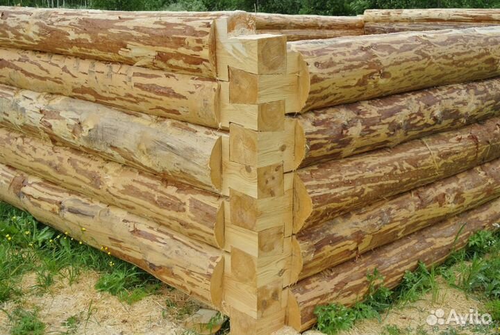 Срубы домов, бань