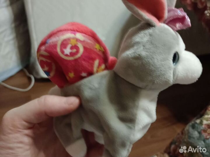 Собака,петух