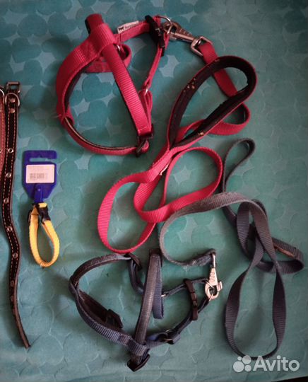 Ошейники, поводки, шлейки