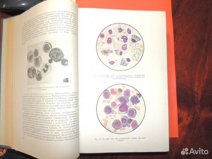 Клинические лабораторные исследования