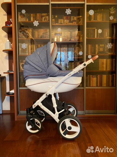 Коляска 2 в 1 Retrus Alpina 560