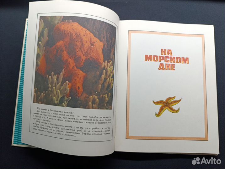 Сахарнов.В мире дельфина и осьминога.1987