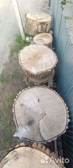 Слэб дерева и спилы