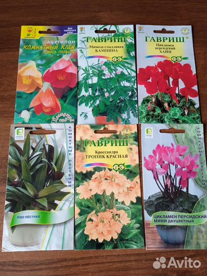 Семена комнатных растений