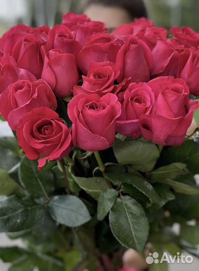 25 51 101 роза букеты цветы доставка 24/7