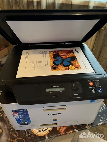 Мфу лазерный Принтер 