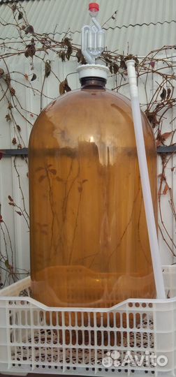 Ёмкость 30л с гидрозатвором для брожения