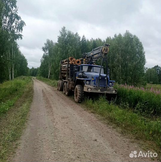 Водитель урал лесовоз