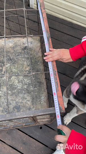 Клетка для крупных животных