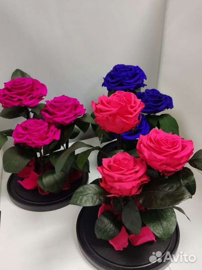 Роза в колбе оптом и в розницу