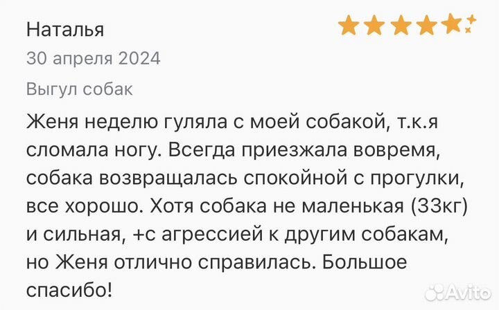 Выгульщик, няня, ситтер для собак