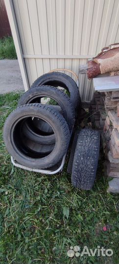 Cordiant Polar 205/55 R16